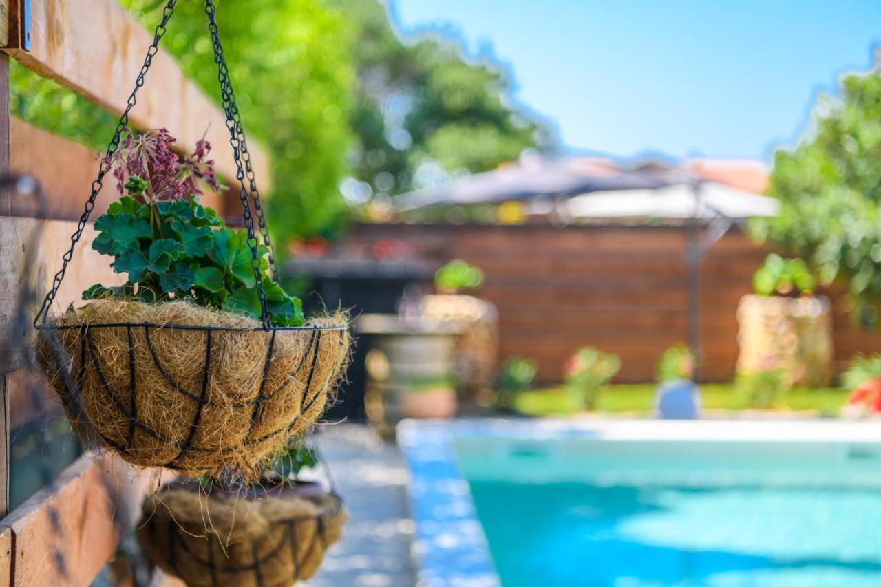 Haus Rustica Villa Pula Ngoại thất bức ảnh